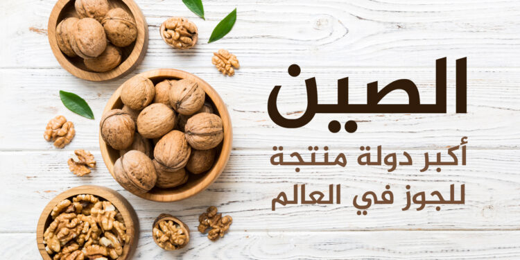 Its market reached 8.4 billion dollars.. The 10 largest walnut producing countries in the world | Economy