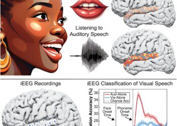 Lipreading activates brain regions similar to real speech, researchers show