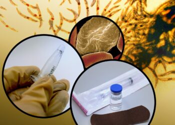Malaria vaccine candidate offers long-lasting protection in trials