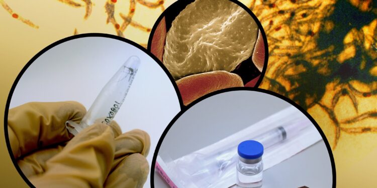 Malaria vaccine candidate offers long-lasting protection in trials