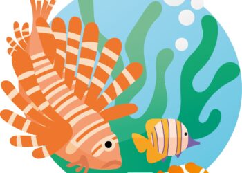 Many environmental science students are not always aware of the causes of this phenomenon.