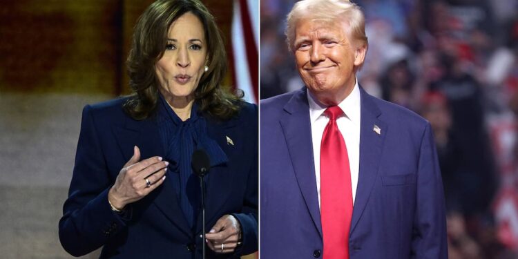 Masculinity and the 2024 presidential election