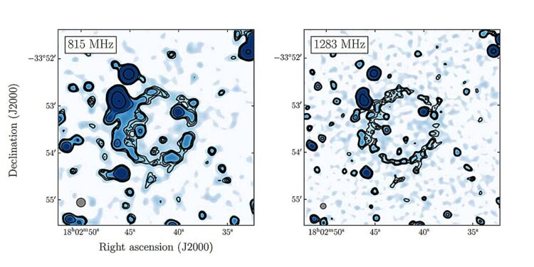 MeerKAT observations detect mysterious faint radio ring