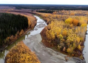 ‘Mercury bomb’ threatens millions as Arctic temperatures rise, study warns