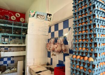 Morocco.. Grumbling and discontent due to rising food prices | Economy