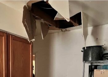 Murder suspect falls from attic during search