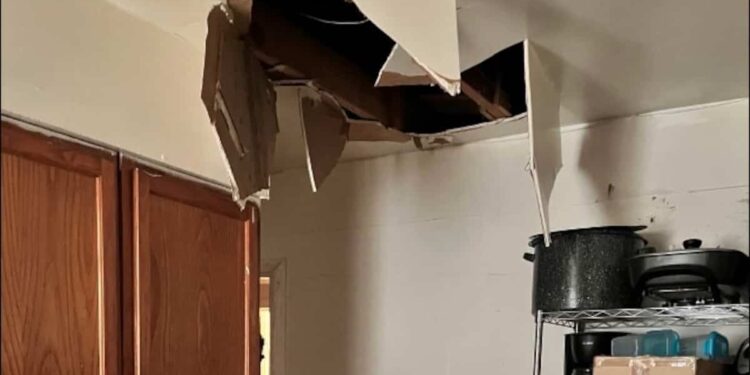 Murder suspect falls from attic during search