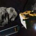 NASA’s DART probe impact permanently altered the shape and orbit of the asteroid’s moon, new study finds