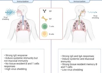 Needle-free intranasal COVID-19 vaccine offers broad immunity, study finds