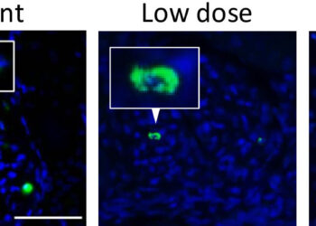 New Compound Shows Great Potential for Patients with Neutrophil-Associated Inflammation