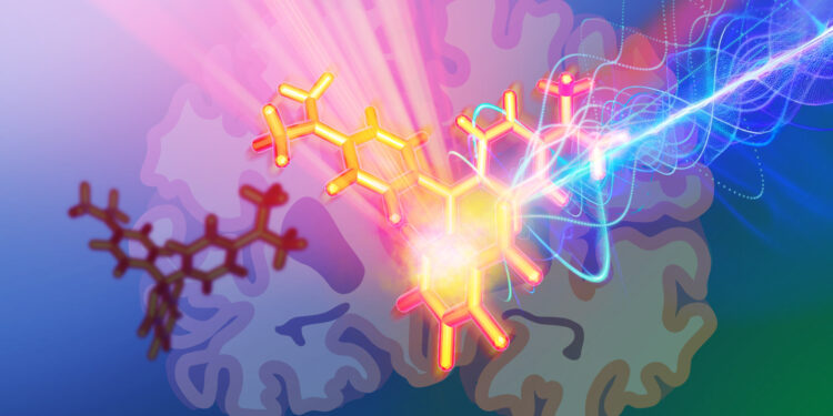 New photoacoustic probes enable imaging of deep brain tissue, with the potential to report neuronal activity