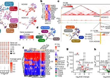 New research poised to transform approach to diagnosis and treatment of acute leukemia in children