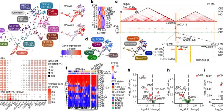 New research poised to transform approach to diagnosis and treatment of acute leukemia in children