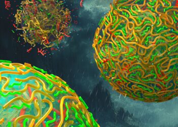 New research suggests rainwater helped form early protocell walls