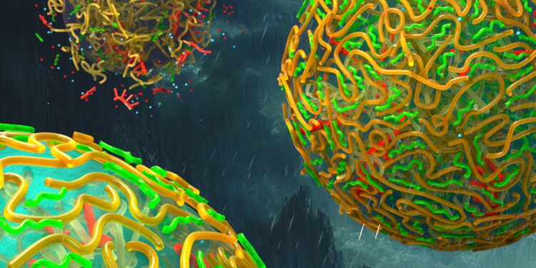 New research suggests rainwater helped form early protocell walls