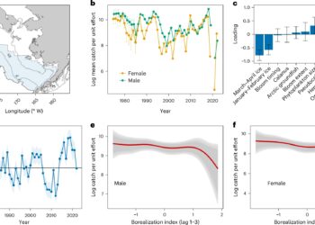 New study finds Alaska snow crab population in Bering Sea collapsing due to climate change