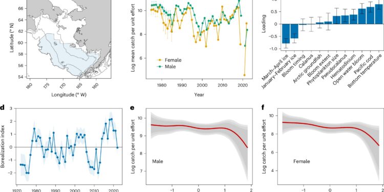 New study finds Alaska snow crab population in Bering Sea collapsing due to climate change