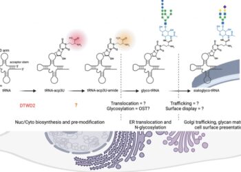 New study proves they exist