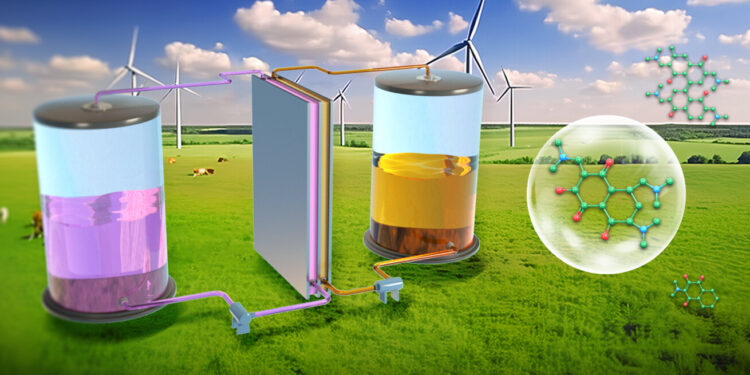 Novel redox-active organic molecules for flow batteries exhibit stable cycling performance