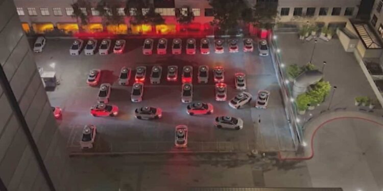 ON VIDEO | Woke up by autonomous vehicles honking at each other at 4am