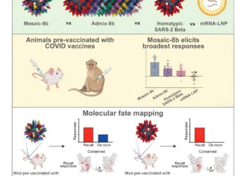Polyvalent vaccine shows promise in presence of pre-existing immunity