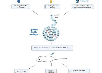 Promising peptide compound may reduce appetite and protect brain against Alzheimer’s-like diseases