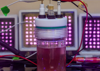 Purple bacteria transformed into bioplastic factories