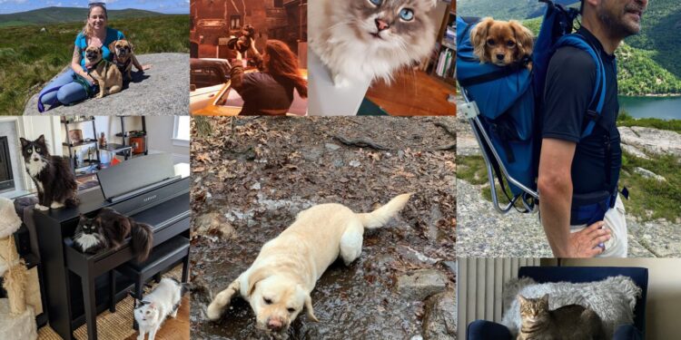 Research suggests that bonding with dogs can reduce depression and anxiety
