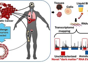 Researchers Discover New Nanoparticles in Blood That Could Transform Cancer Diagnosis
