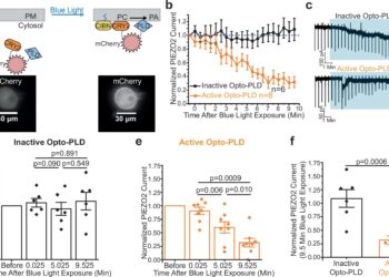 Researchers Discover New Way to Control Sense of Touch