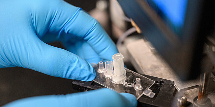 Researchers develop rapid, affordable blood test for brain cancer