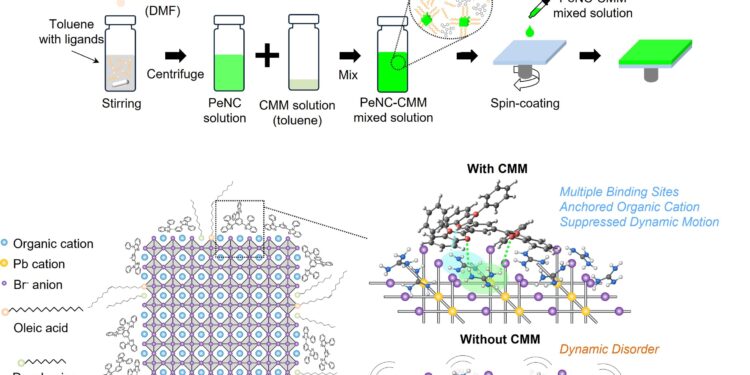 Researchers develop ultra-high-efficiency perovskite LEDs by strengthening the lattice