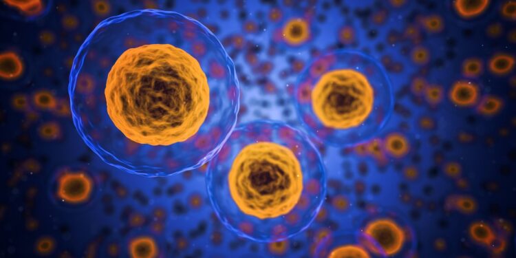 Researchers discover cellular ‘door’ exploited by cancer-causing virus