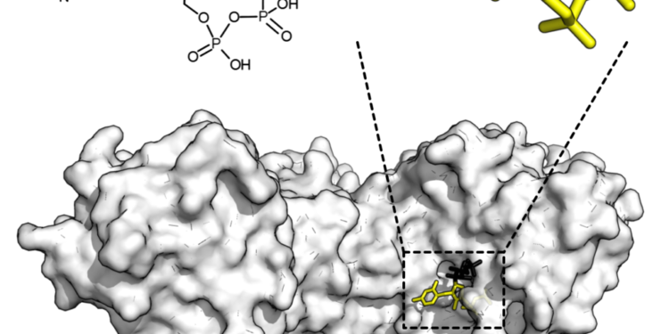 Researchers teach artificial intelligence about protein folding frustration