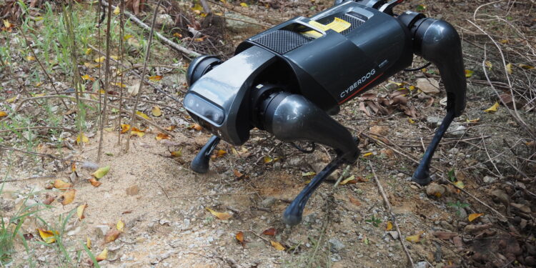 Researchers train robot dog to fight invasive fire ants
