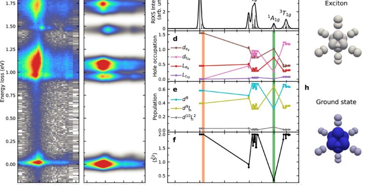 Scientists Discover Exciton Behavior in Van der Waals Magnets