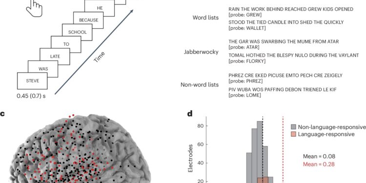 Scientists Discover Neurons That Process Language at Different Time Scales