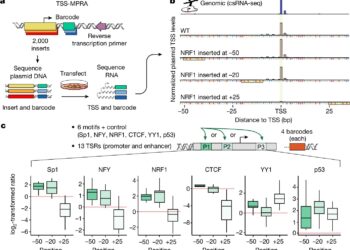 Scientists Discover New Code Governing Gene Activity