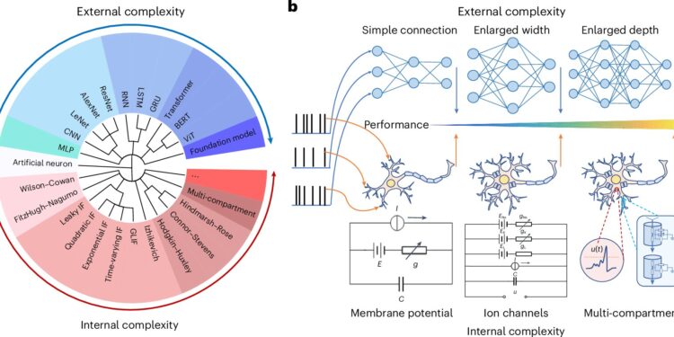 Scientists build brain-inspired network model to connect AI and neuroscience