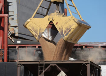 Sisi orders record wheat purchases amid fears of new supply crisis | Economy