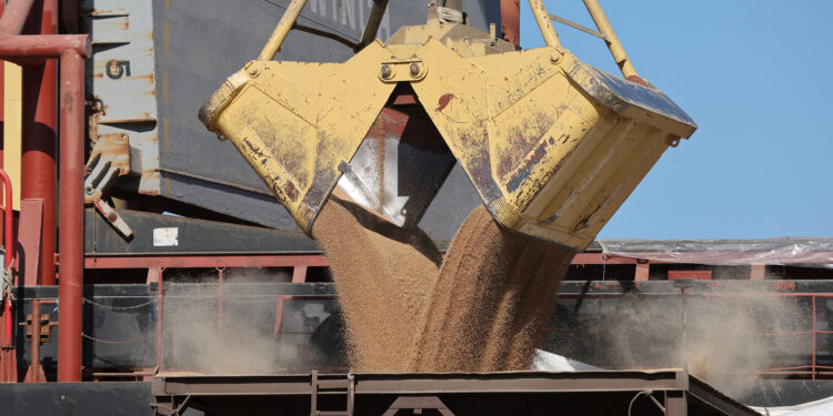 Sisi orders record wheat purchases amid fears of new supply crisis | Economy