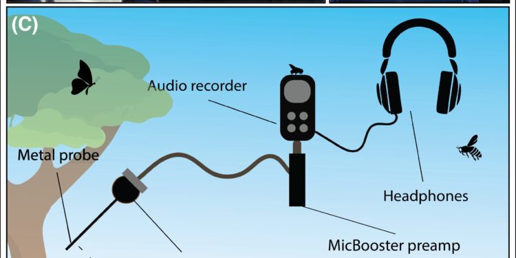 Soundscape study shows how subsurface acoustics can amplify soil health