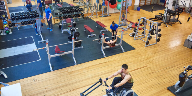 Strength training activates cellular waste elimination, interdisciplinary research reveals