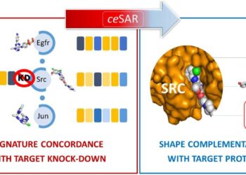 Study combines data and molecular simulations to accelerate drug discovery