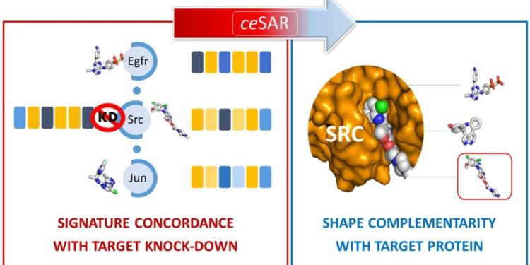 Study combines data and molecular simulations to accelerate drug discovery