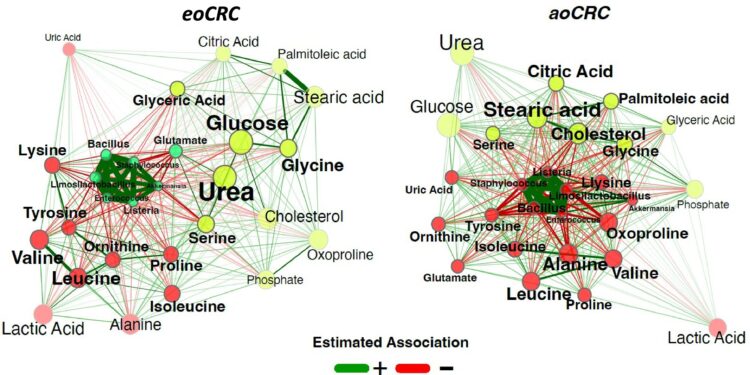 Study finds diet is major risk factor for colon cancer in young adults