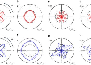 Study reveals broken mirror symmetry in Fermi liquid phase of cuprate