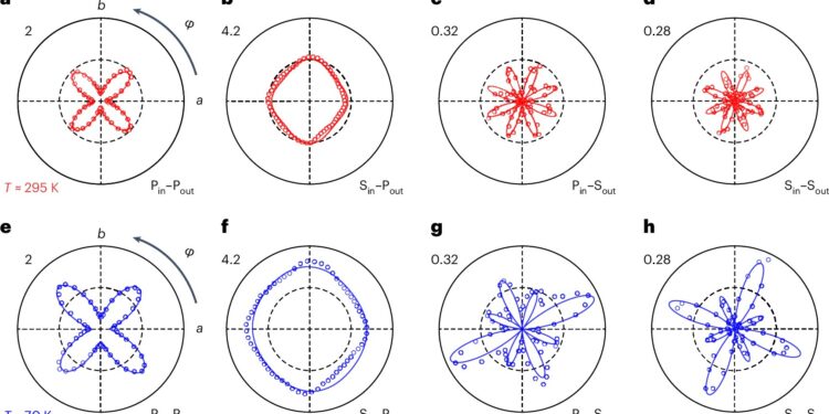 Study reveals broken mirror symmetry in Fermi liquid phase of cuprate