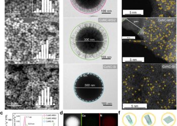 Study reveals new catalytic pathway for effective water pollution control