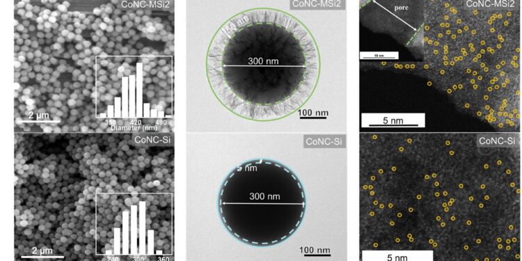 Study reveals new catalytic pathway for effective water pollution control